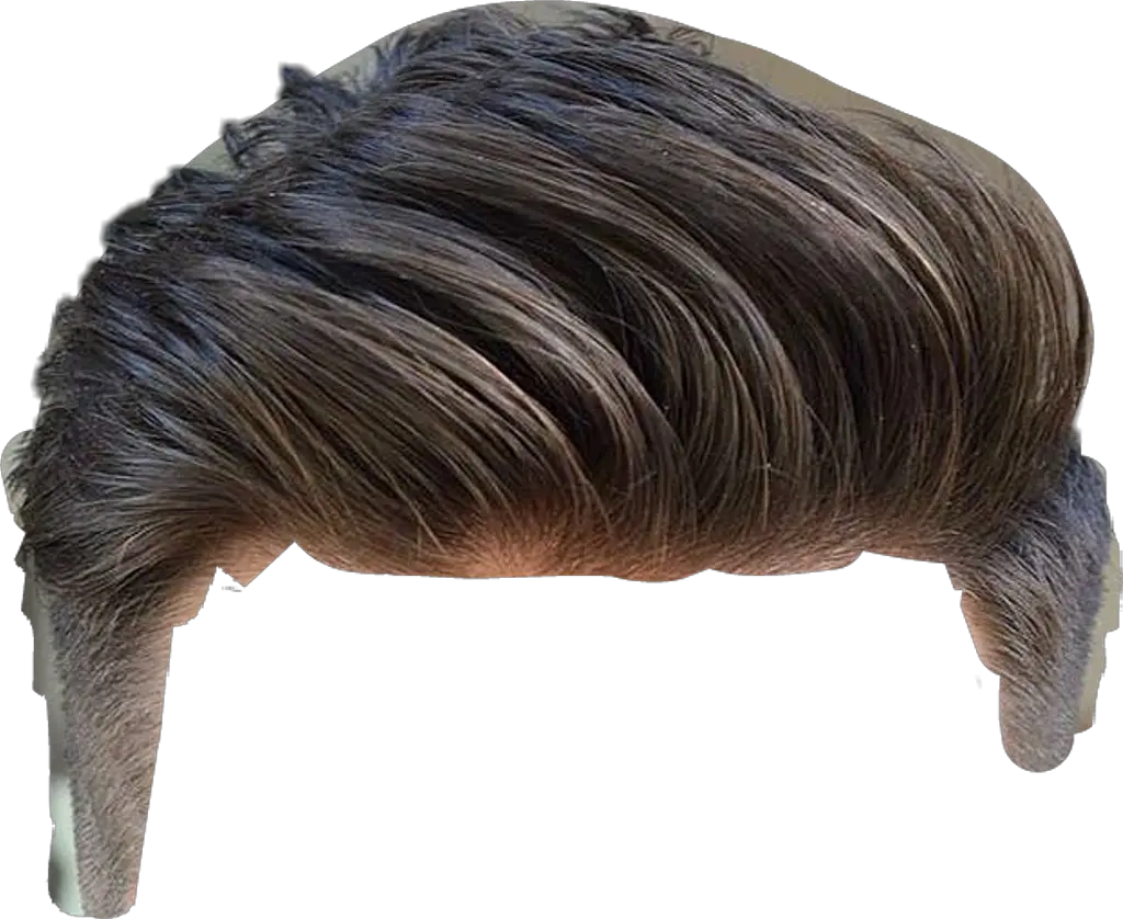  Transparent Wig Png Men Hair Wig Png