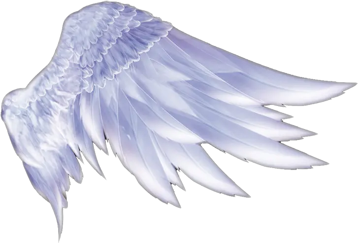  Transparent Feathers Supernatural Angel Wings Png Hd