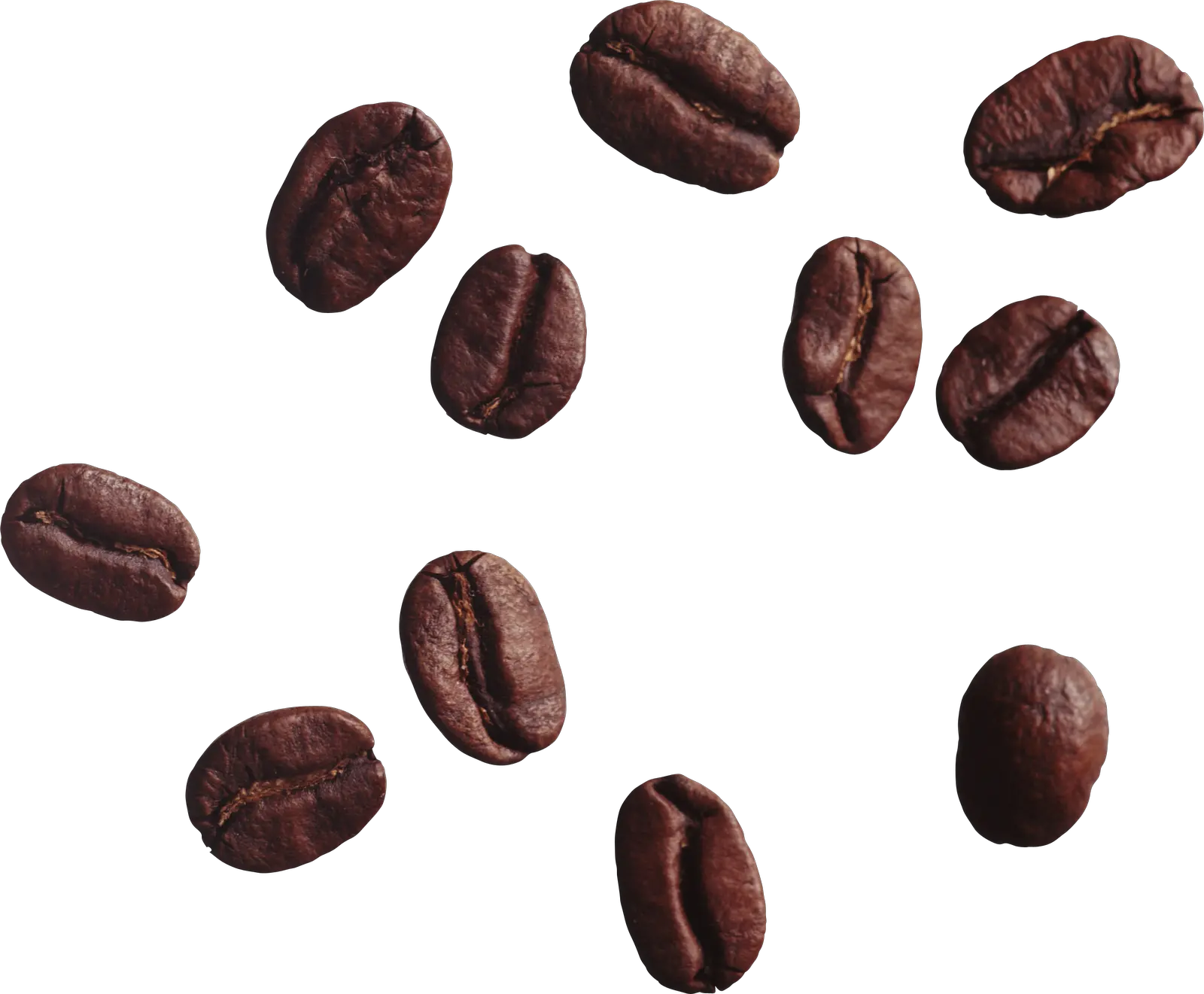  Coffee Beans Transparent Background