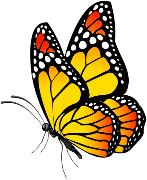  Butterfly Clip Art