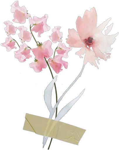  freetoedit flower flowers tape pastel scrapbook