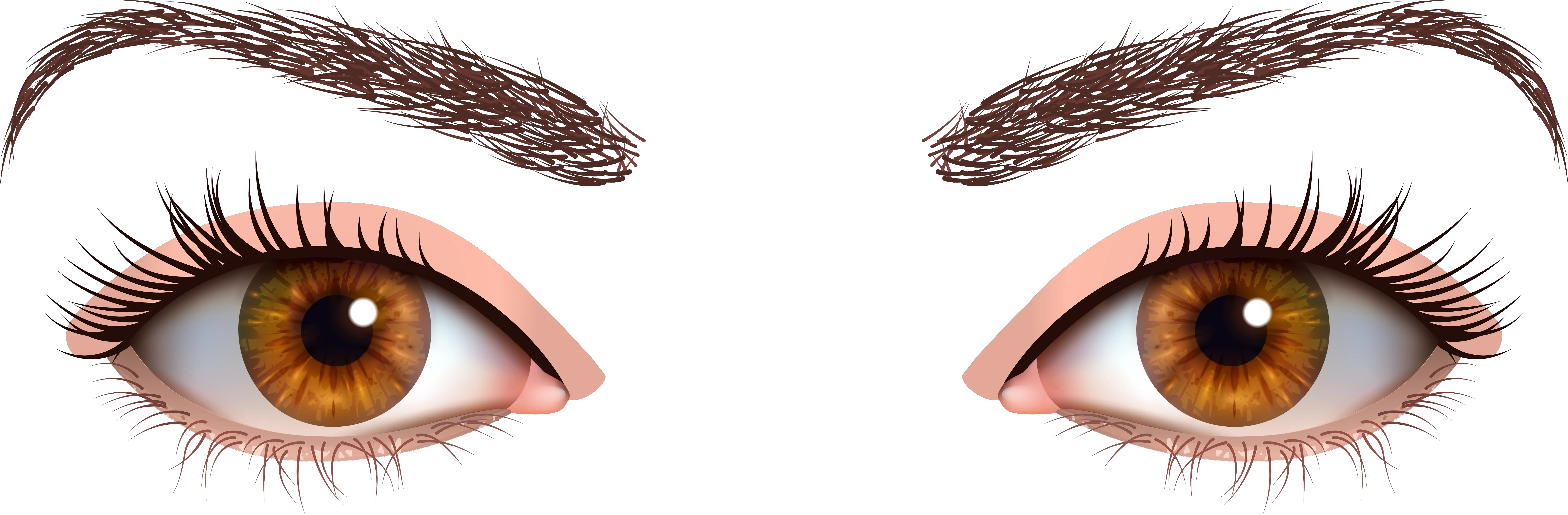  Transparent Brown Eye Png Transparent Background Brown Eyes Png