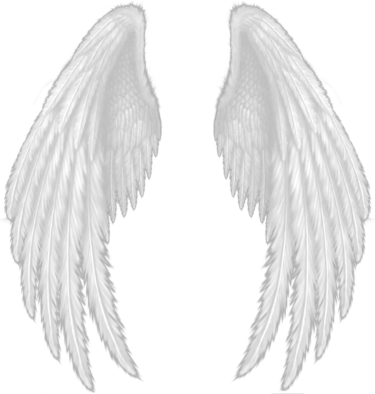  Wings Devil Wings Png Hd