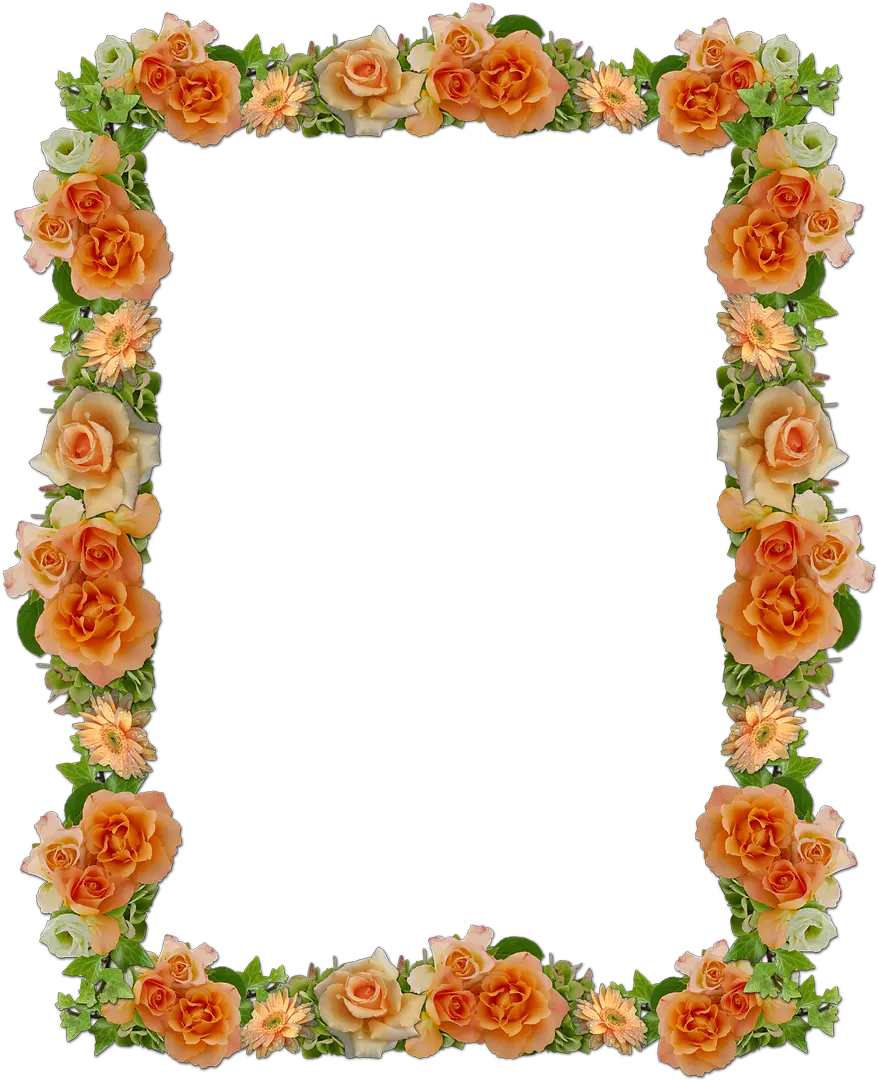  Frame Roses Wedding Free Photo Shradhanjali Photo Frame Png