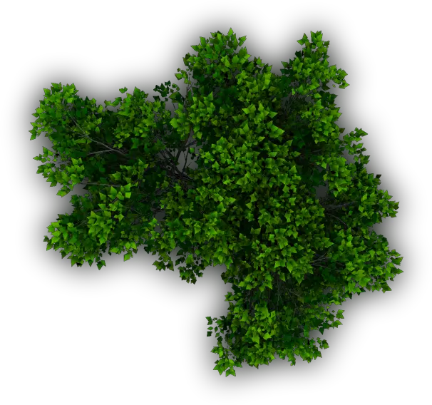  Free Shrub Png Plan View Download Plan View Plants Png