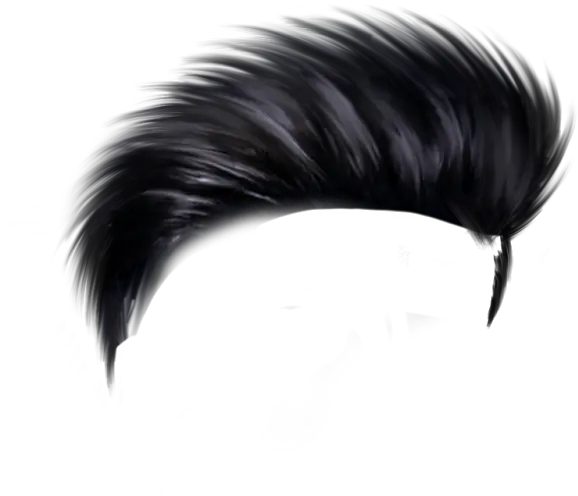  Hair Png One Side