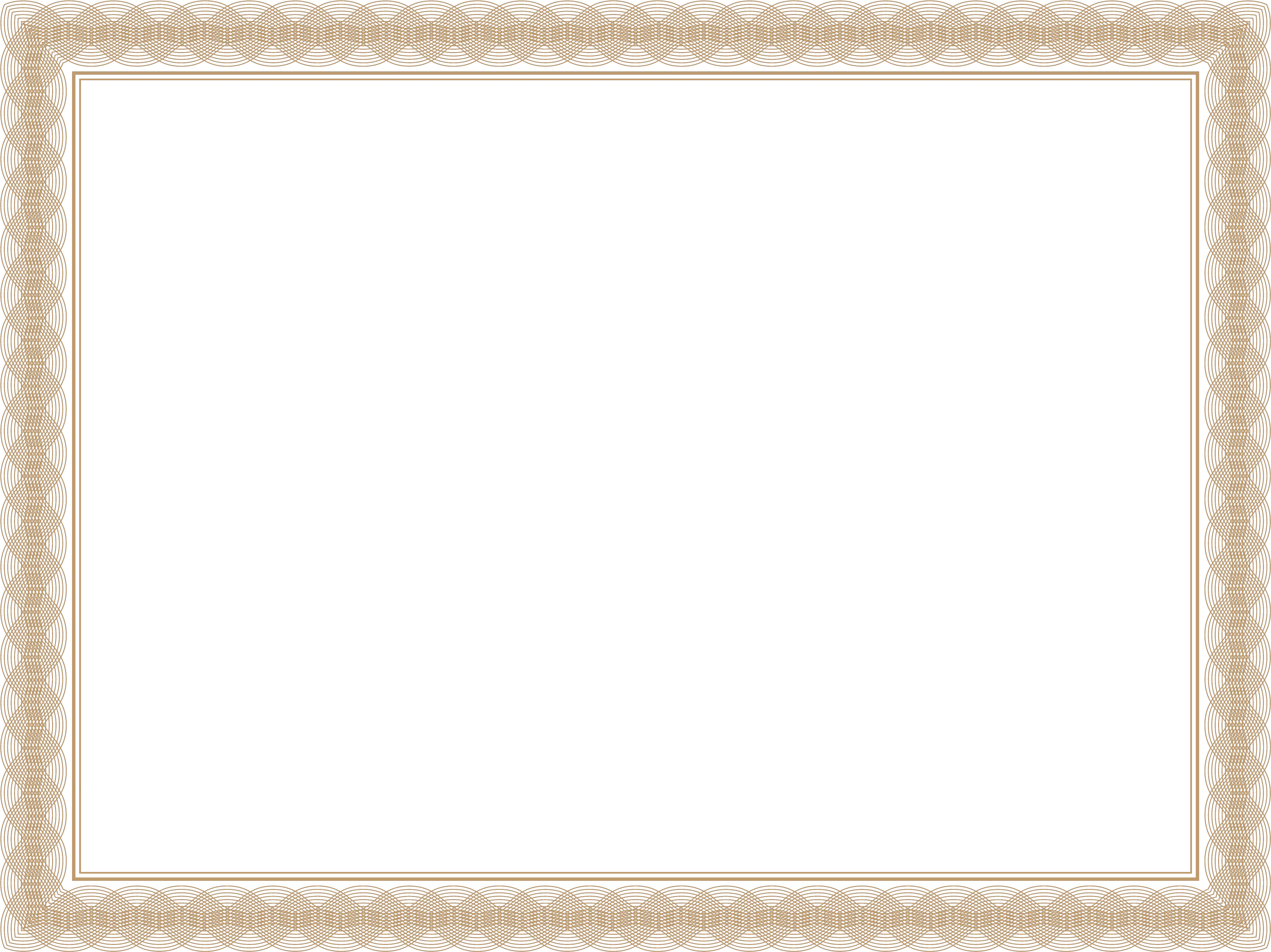  Public Key Certificate Gold Certificate Border