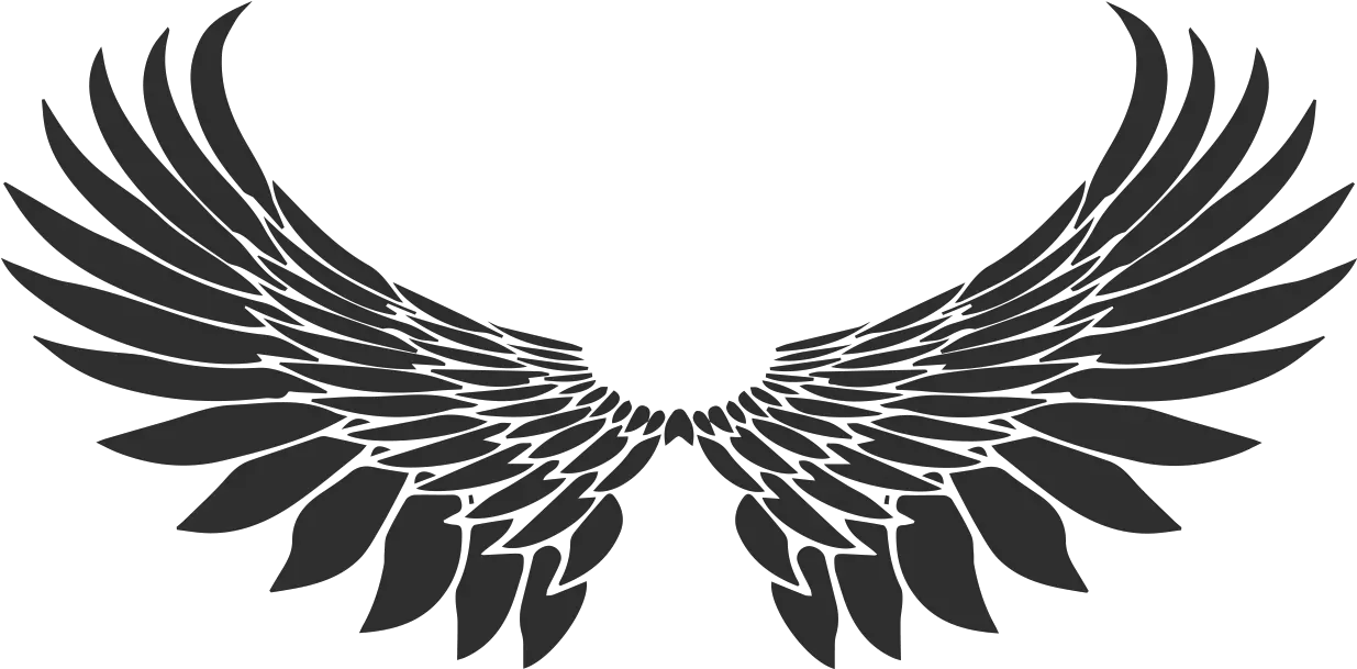  Transparent Bird Wing Png Wing Tattoo Png