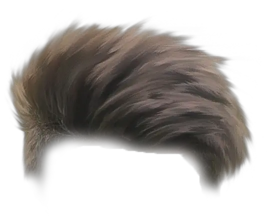  New Boys Hair Png