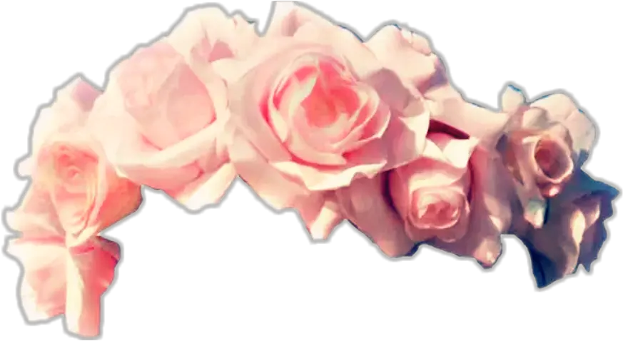  Transparent Pink Flower Crown Png Flower Crown Transparent Background