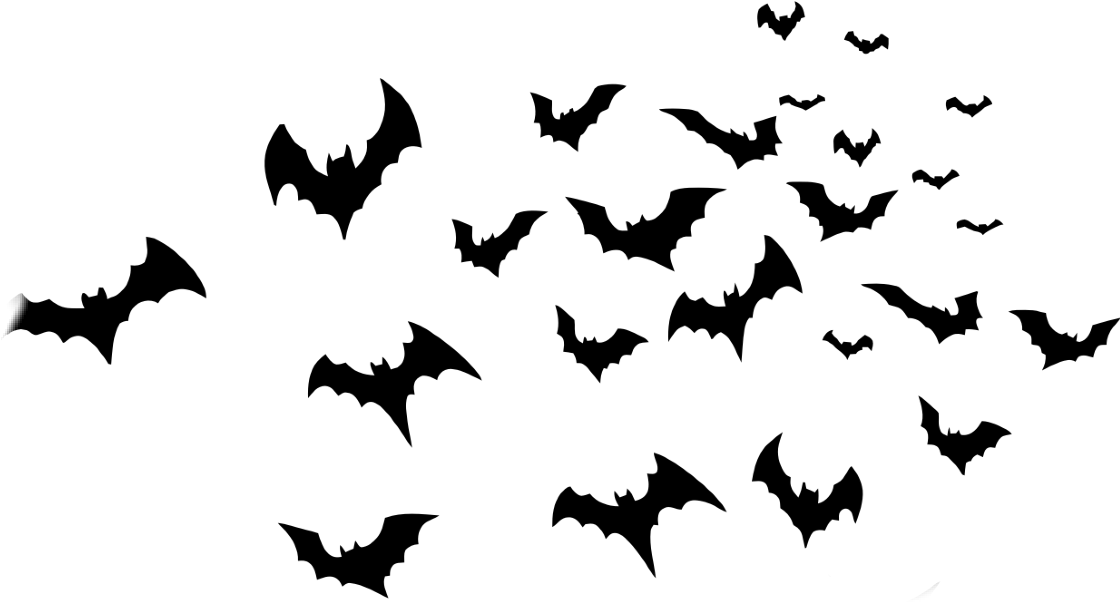  Transparent Halloween Bats Png Halloween Bats Png