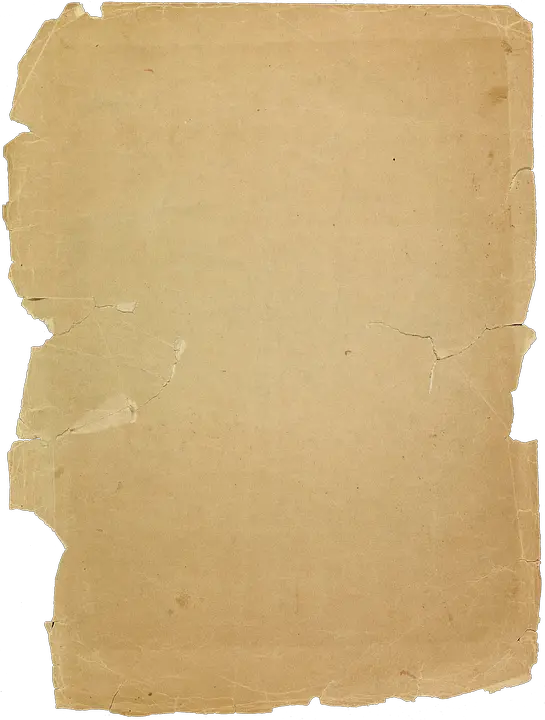  Torn Paper