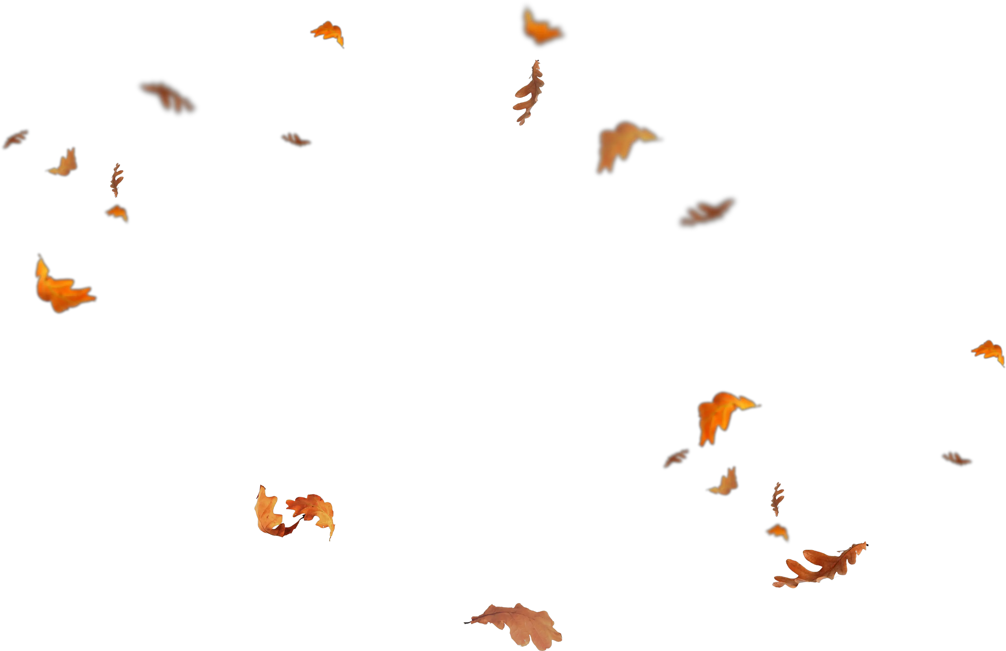  Leaves Falling Png Overlay Fall Leaves Png