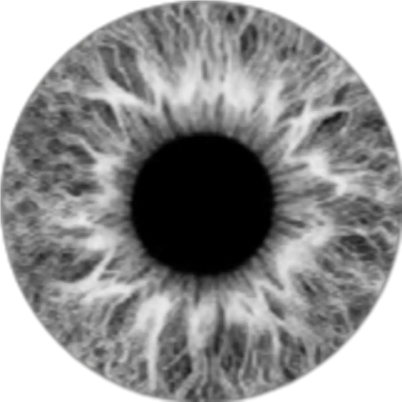  grey lens eye eyes moon gri lens göz Gray Eye Lens Png
