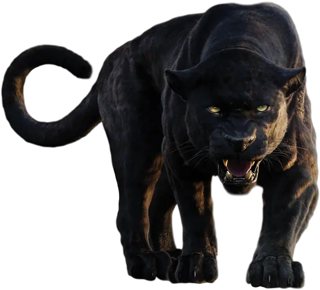  Panther Png Clipart Jungle Book Movie Bagheera