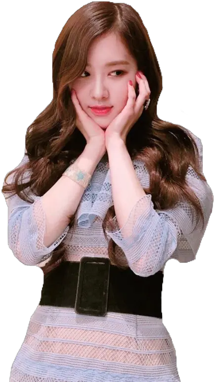  Rose Png Blackpink