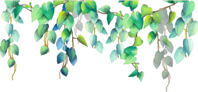  green plant plants png pngstickers Border Watercolor Leaves Png