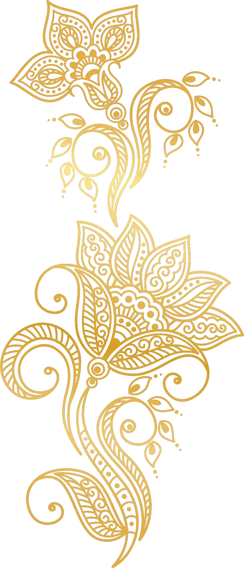  Plants Golden Atmosphere Flower Gold Euclidean Vector Golden Vector Design Png