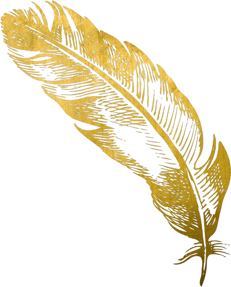  gold feather feathers native boho pretty decals Golden Feather Transparent