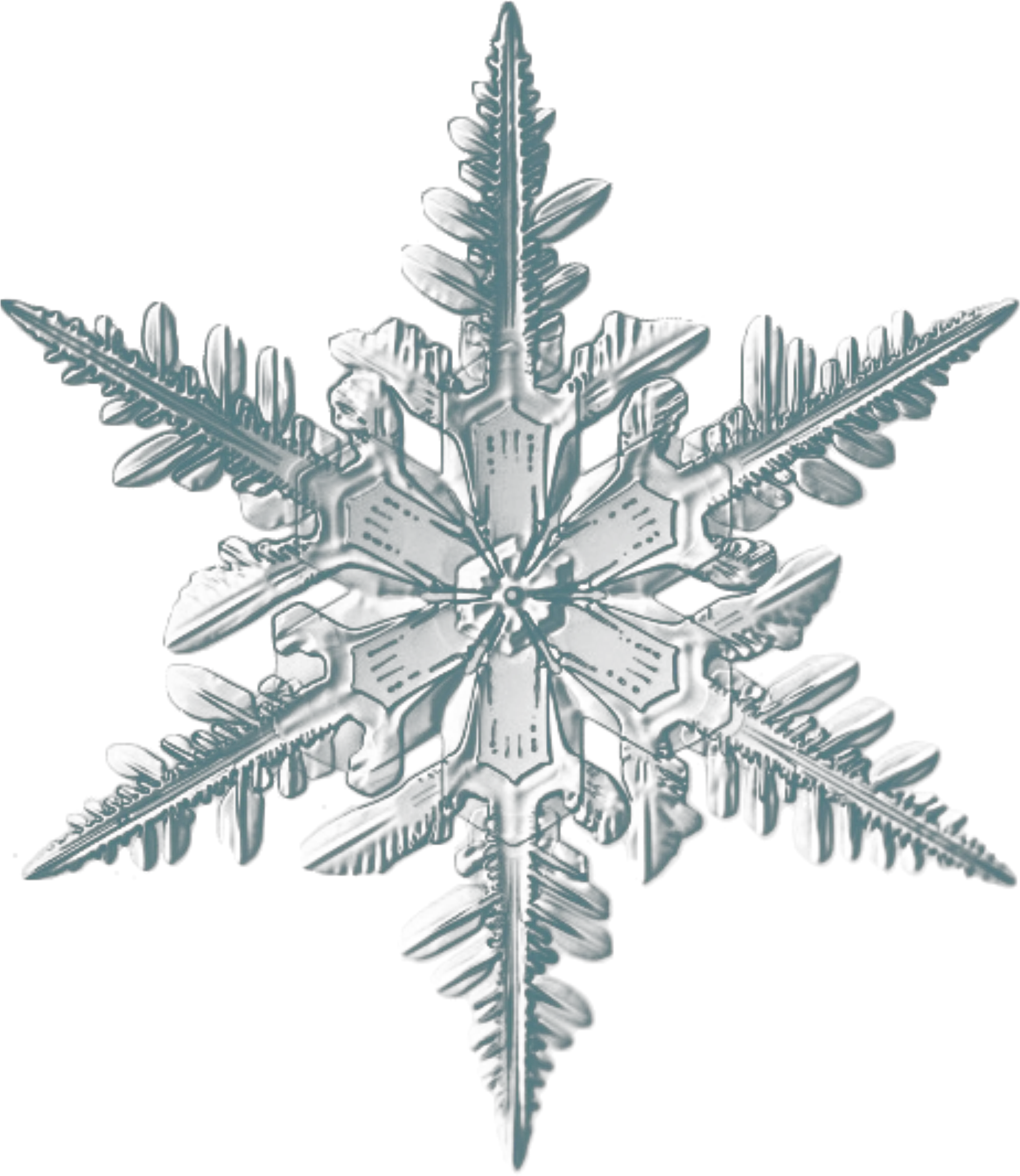  Realistic Snowflake