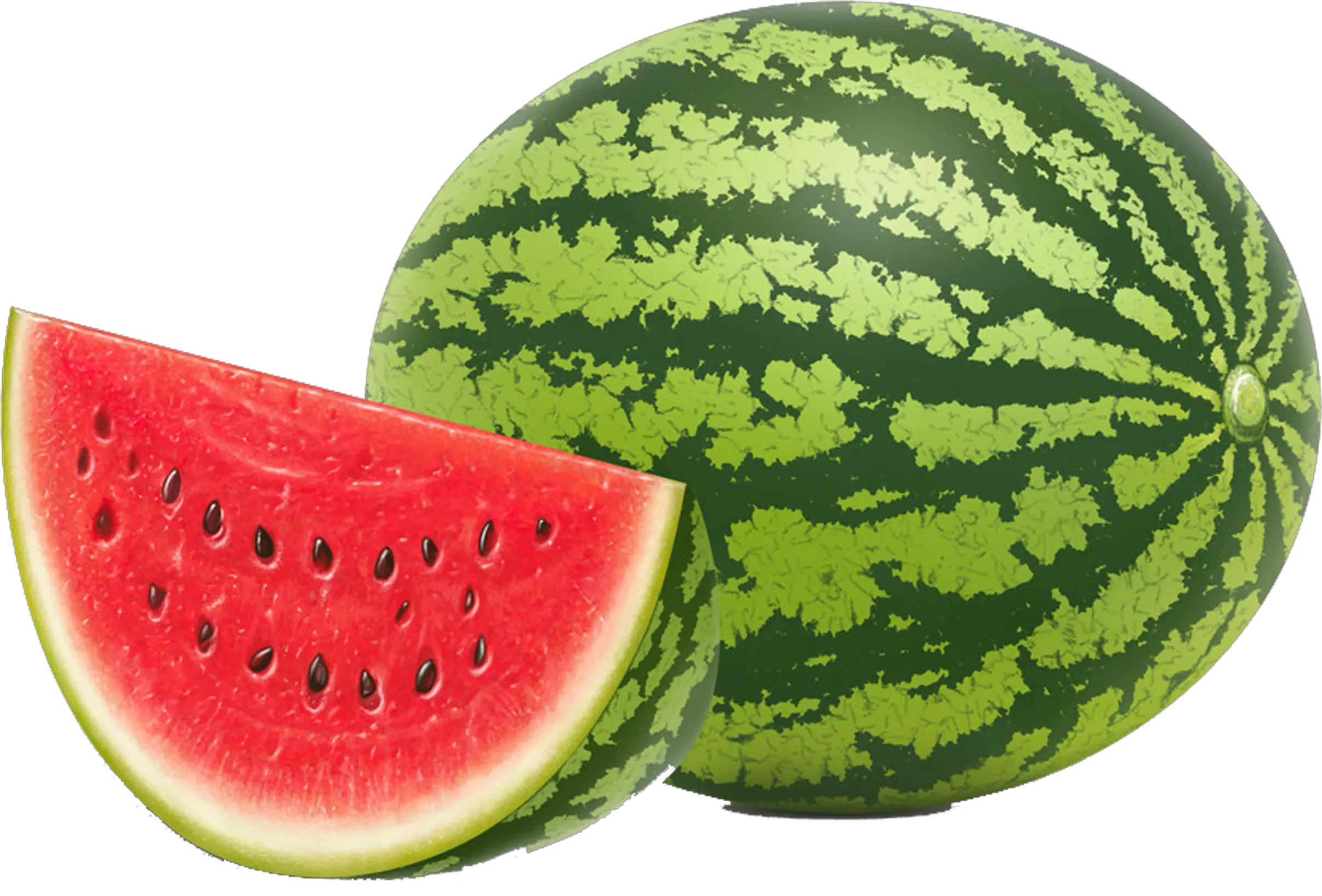  Watermelon Seed Fruit Vegetable Watermelon Hd Transparent Background