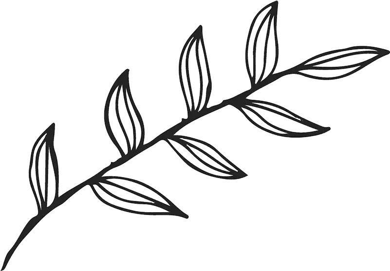  Transparent Pot Leaf Outline Png Leaves Outline