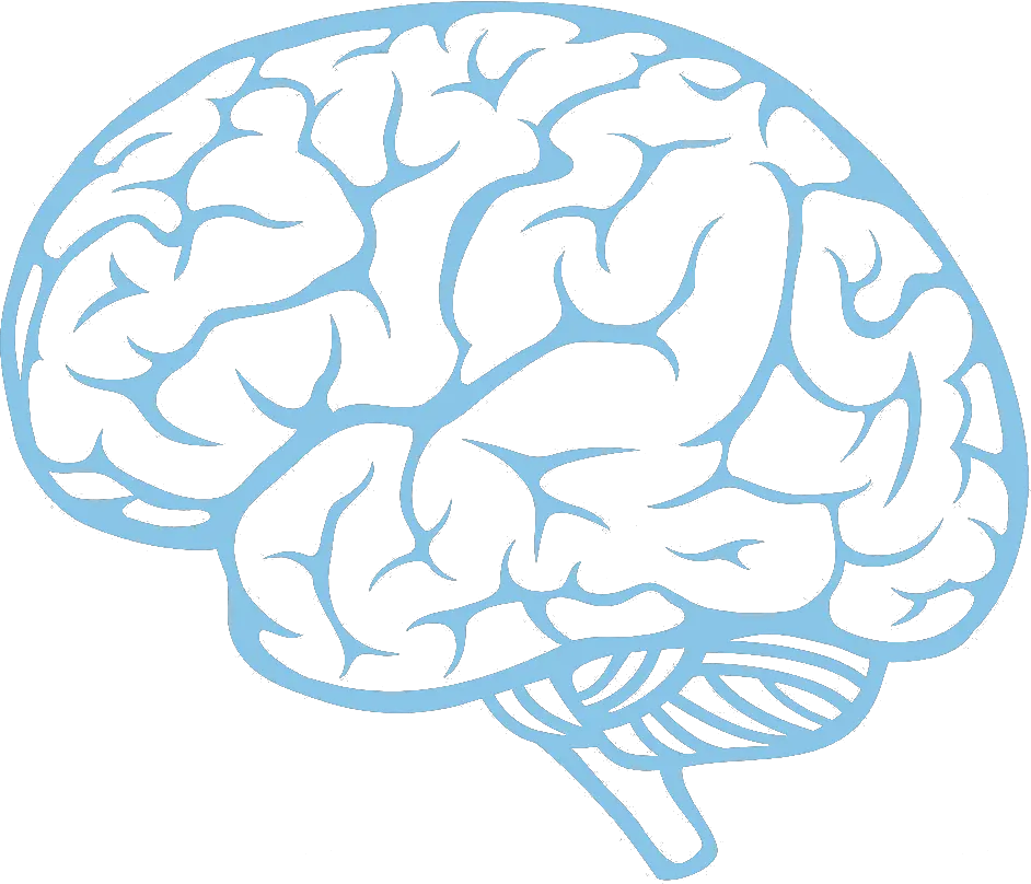  Transparent Brain Clip Art Cartoon Brain Clipart Transparent Background