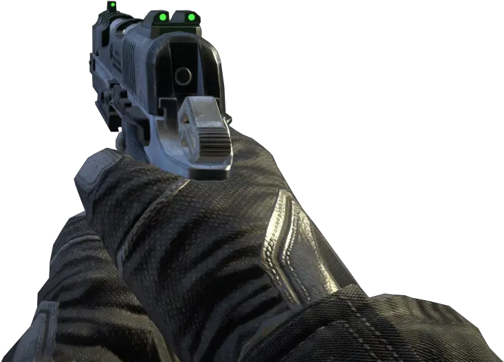  Call Of Duty First Person Gun