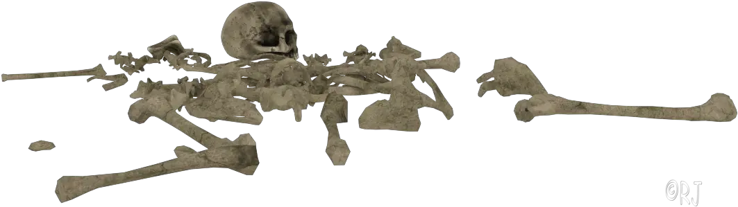  Pile Of Bones Png