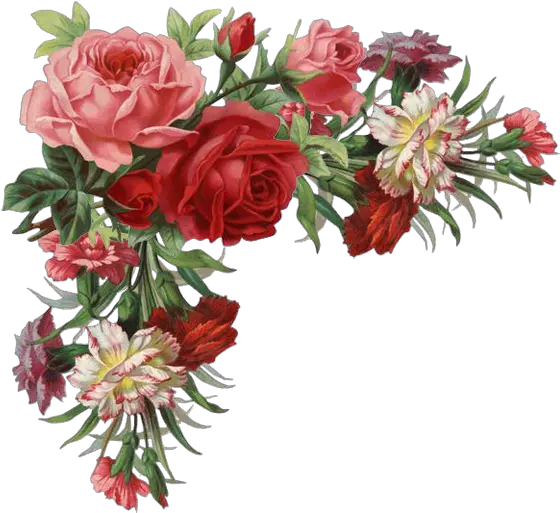  Rose Border Flower Clothing Vintage Free Png Hq Clipart Vintage Flowers Png Corner