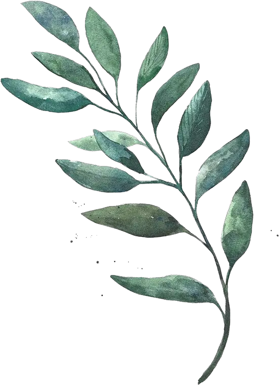  Watercolor Leaf Leaves Painting Drawing Free Hd Image Transparent Watercolor Leaves Png