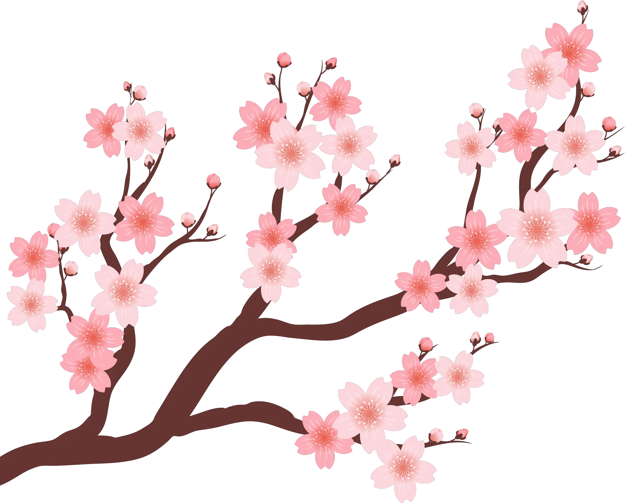  Collection Of Free Vector Trees Plum Blossom Download Cherry Blossom Branch Png