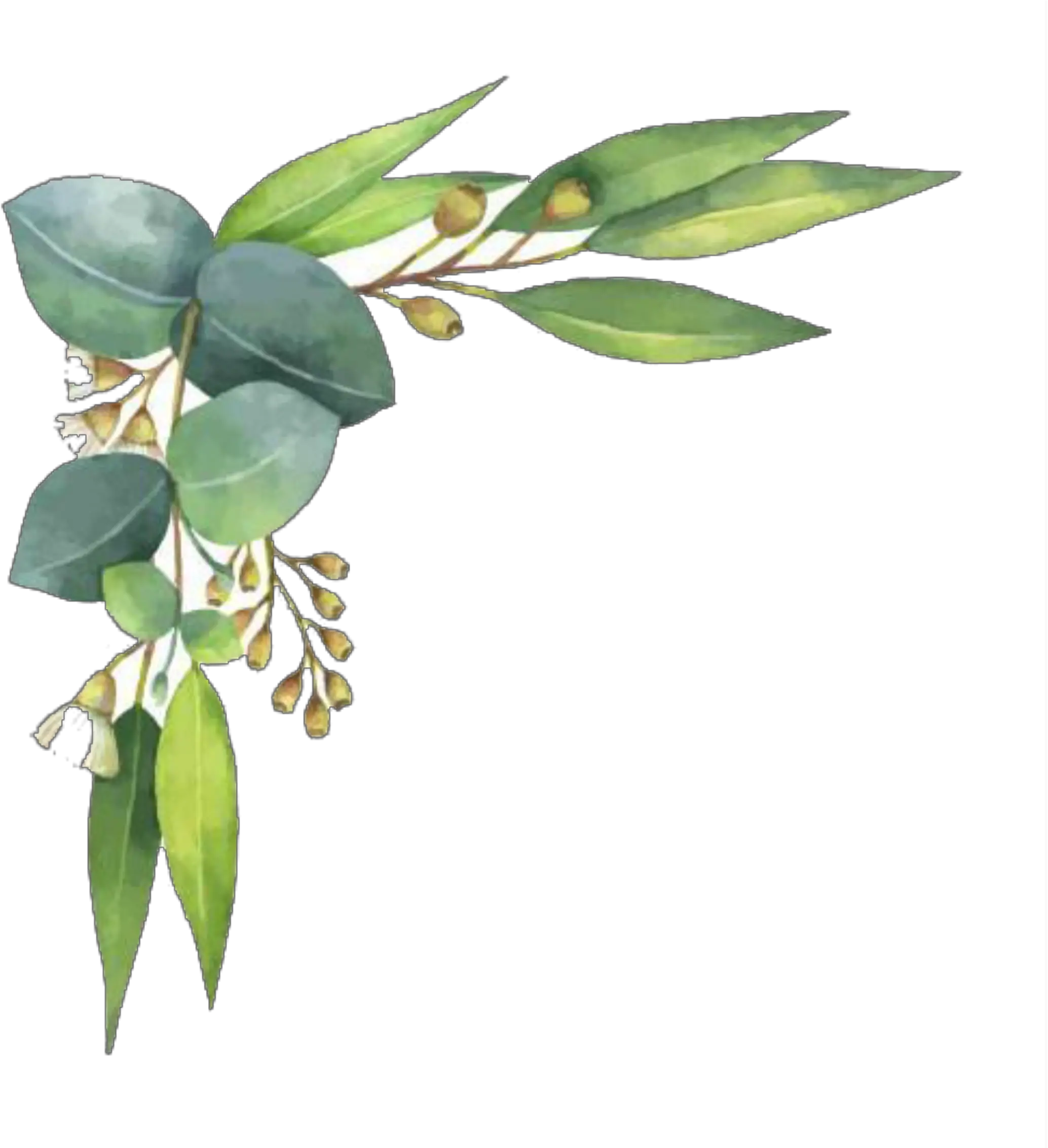  ftestickers watercolor leaves corner border Border Watercolor Leaves Png