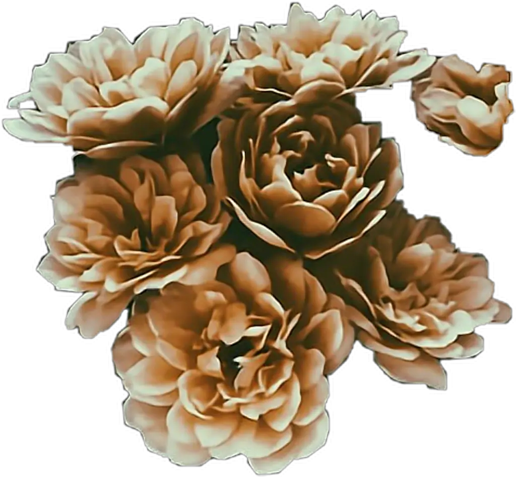  brown flowers aesthetic stickers freetoedit Aesthetic Brown Flowers Png