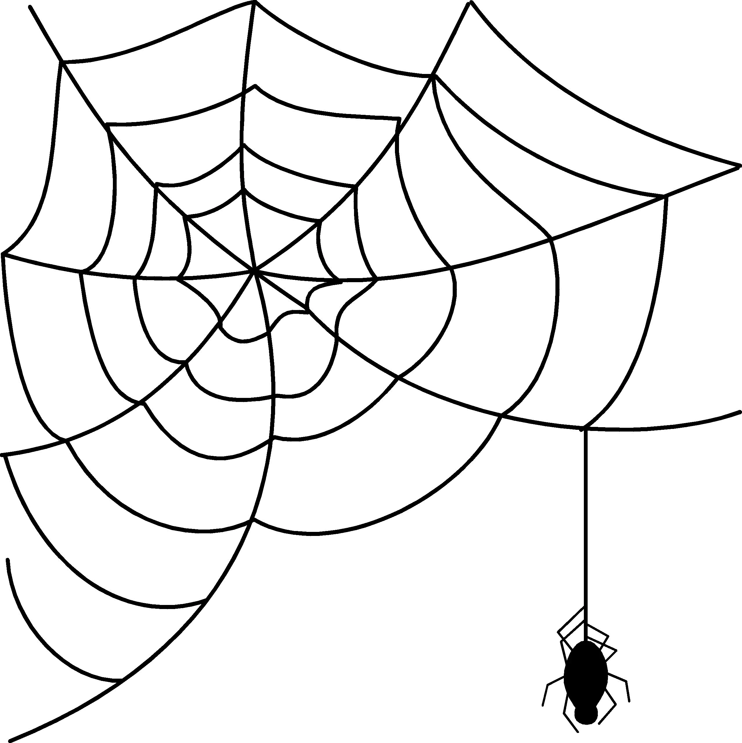  Halloween Spider Png Free Download Transparent Background Spider Web Clipart