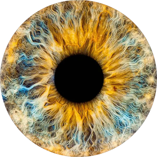  Transparent Brown Eye Png Eye Lens Png Hd Download
