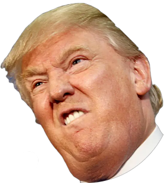  Angry Side Face Trump Donald Trump Face Transparent
