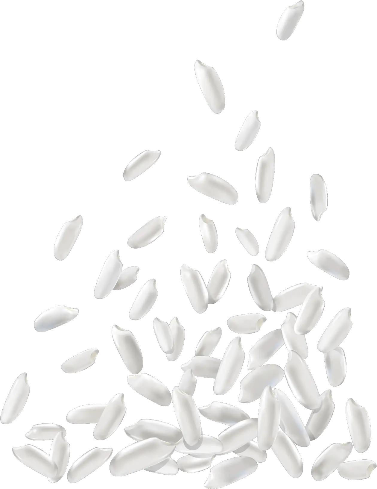  White Rice Png Download Image Grain Rice Vector