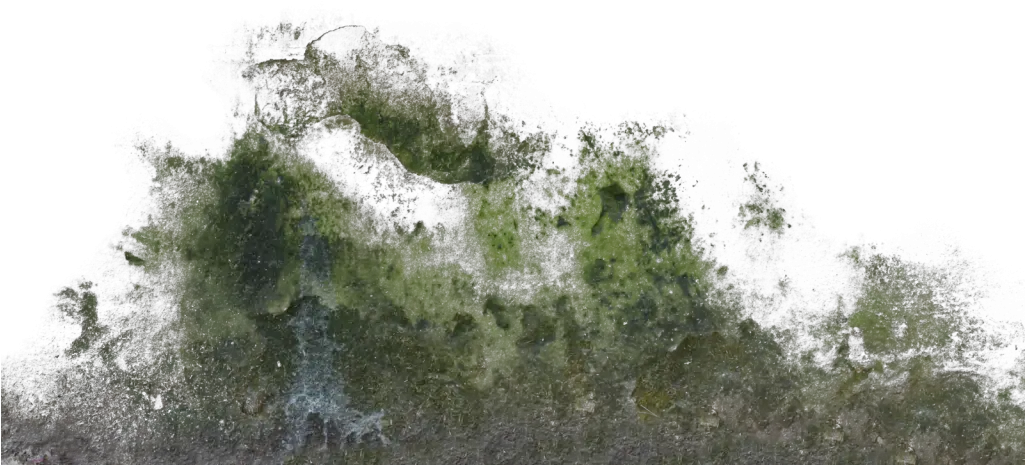  Moss Texture Png Wall Moss Texture Png