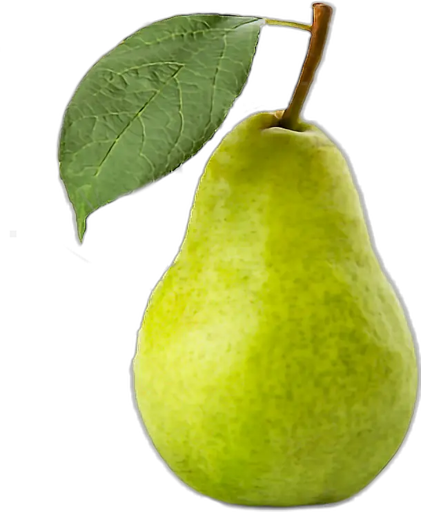  fruta pera Pear Png