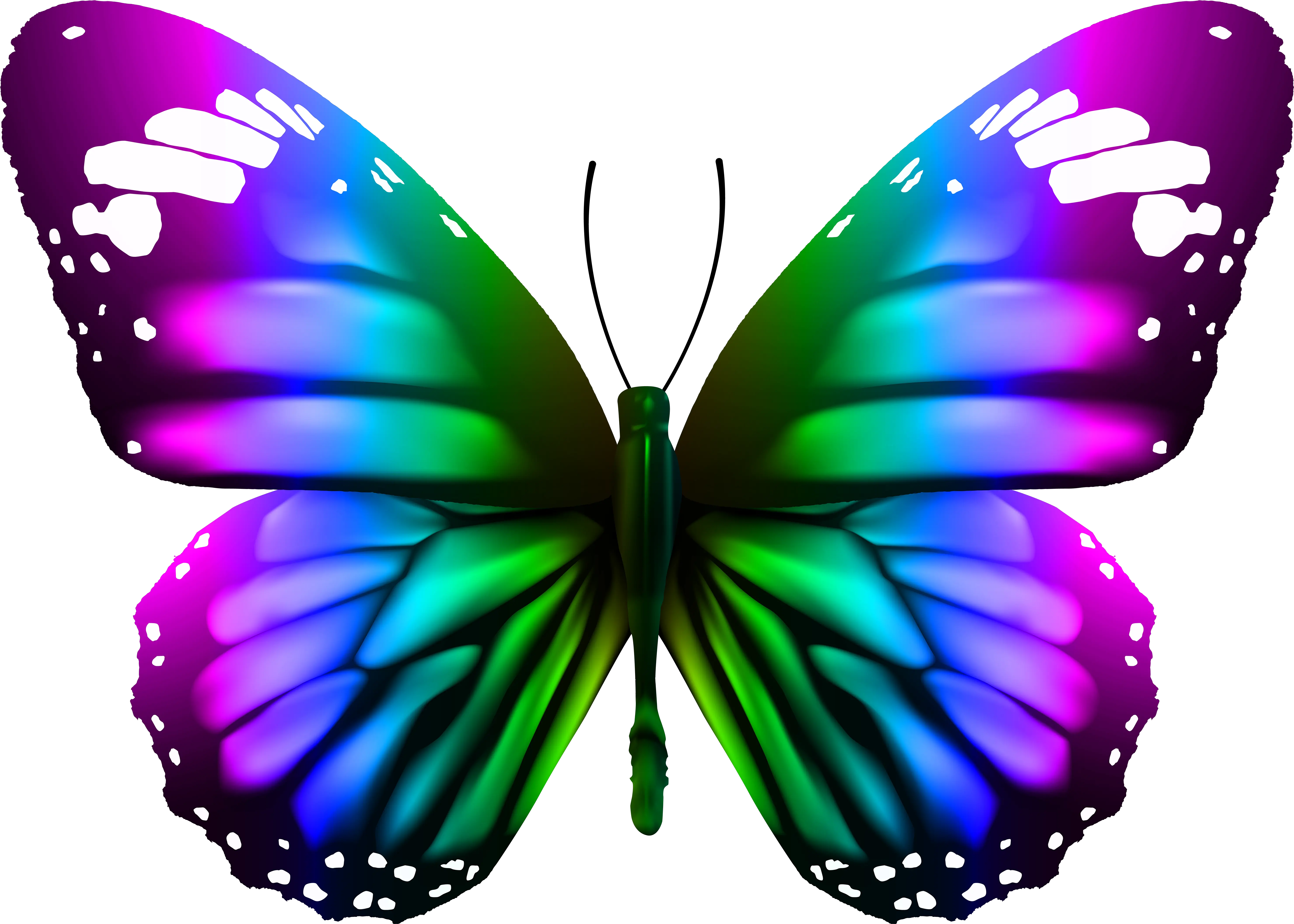  Download Butterfly Transparent Clipart Photo Top Png Monarch Butterfly Png