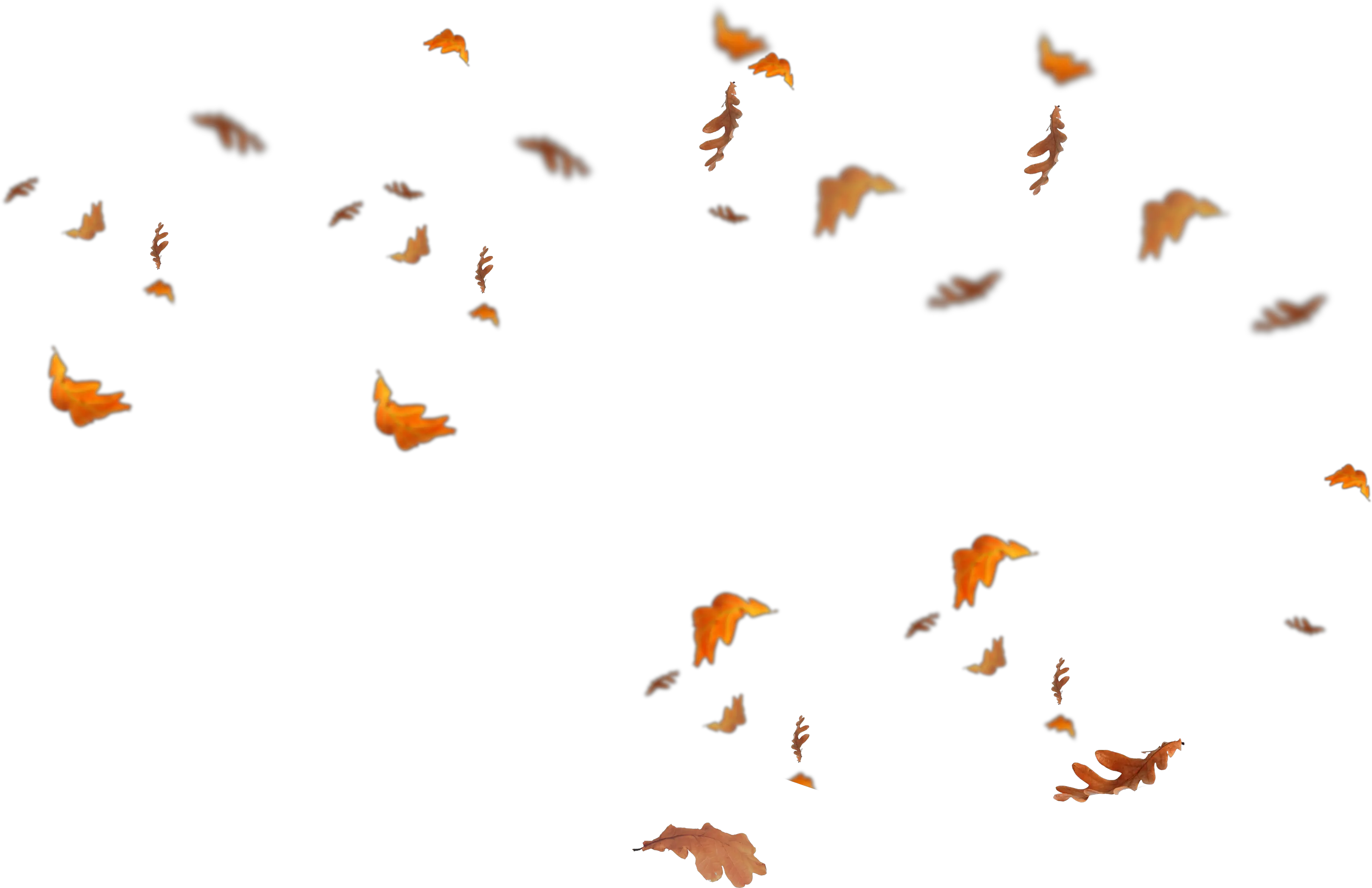  Falling Leaves Png Transparent Fall Leaves Overlay