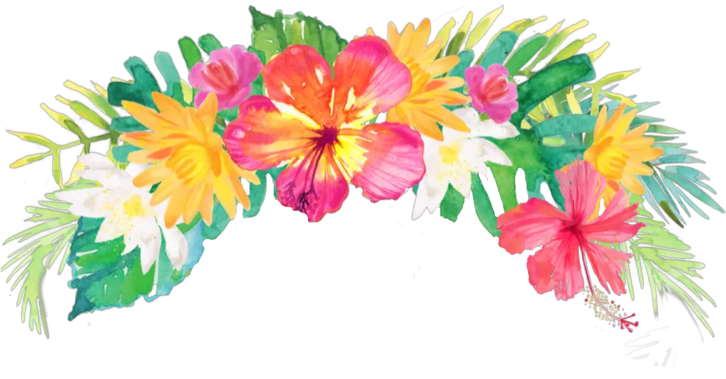  Transparent Hawaiian Flowers Png Transparent Background Tropical Flowers Png