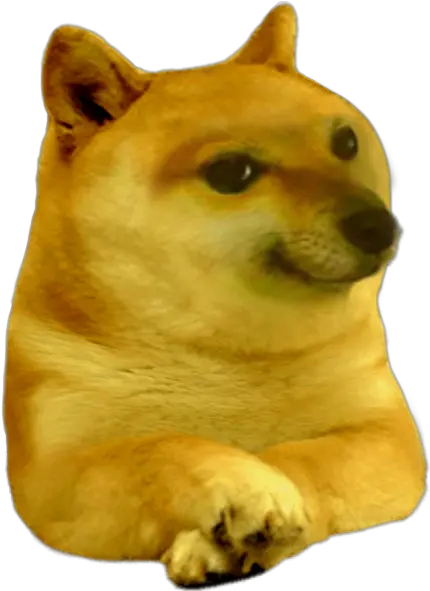  Kid Doge Png