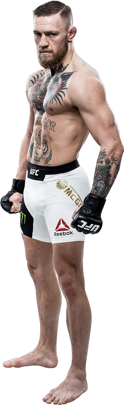  Conor The Notorious Conor Mcgregor Full Body