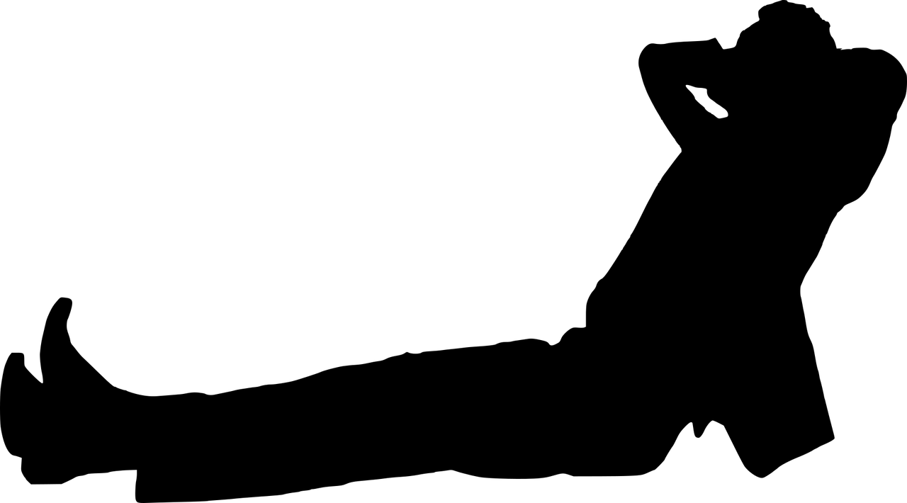  Silhouette
