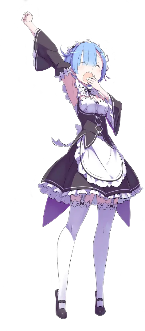  Re Zero Rem Full Body