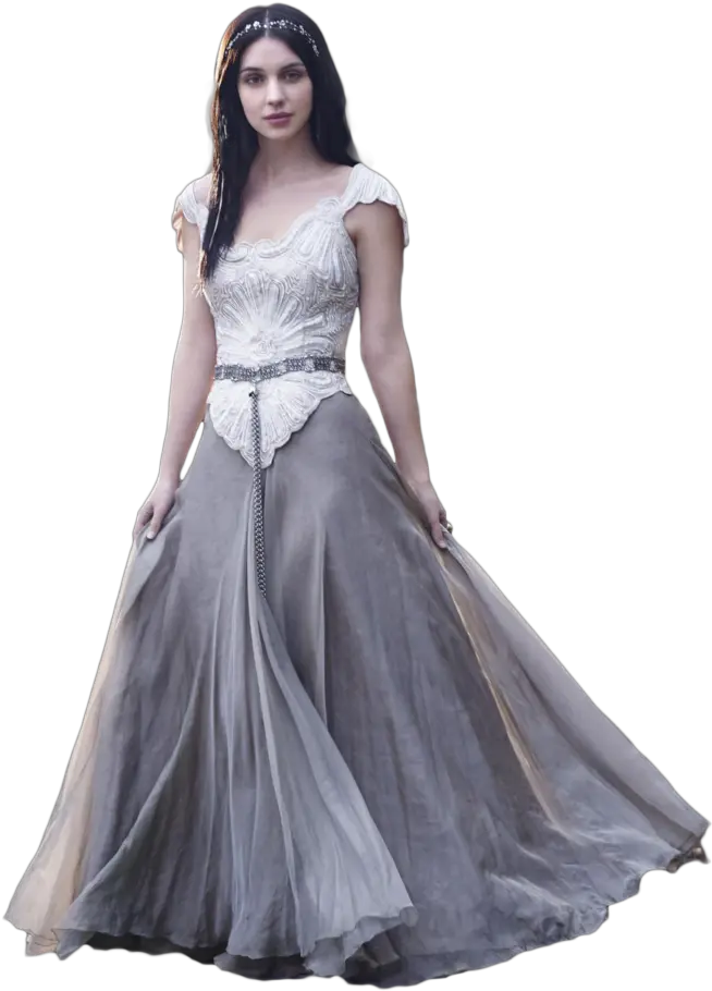  Model
