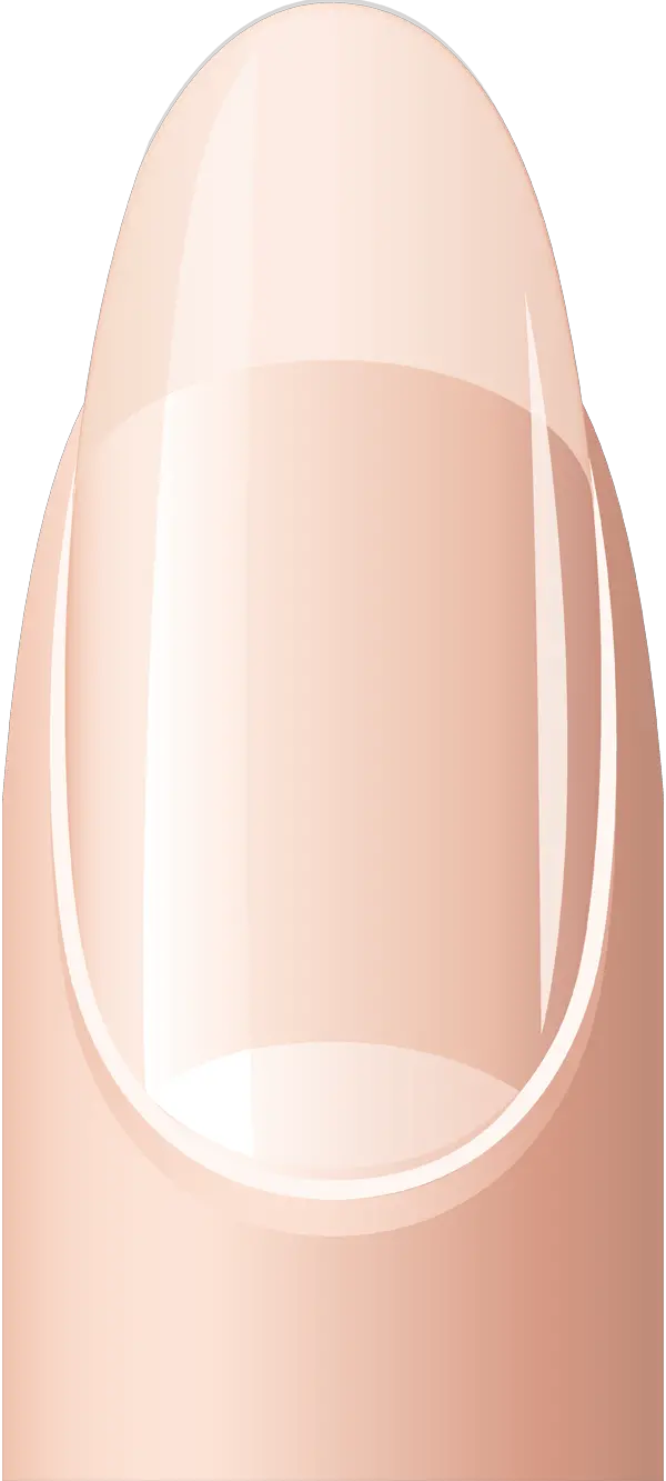  Finger Clipart Short Nail Normal Fingernails Clipart Png