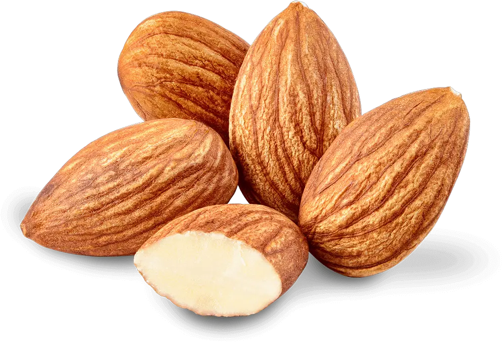  Almond Oil Nut Almond Oil Food Transparent Almond Png